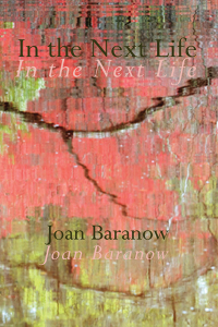 In the Next Life Book Cover